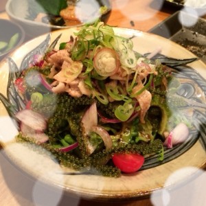 写真 1